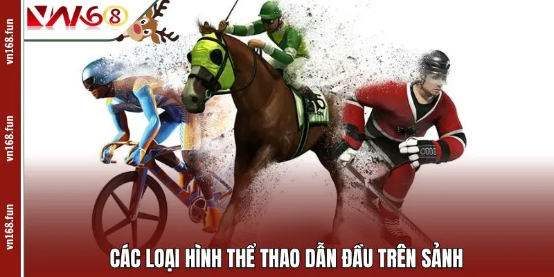 Các loại hình thể thao dẫn đầu trên sảnh 