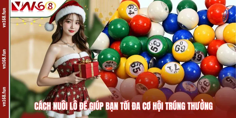 Cách Nuôi Lô Đề Giúp Bạn Tối Đa Cơ Hội Trúng Thưởng