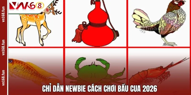 Chỉ dẫn newbie cách chơi bầu cua 2026