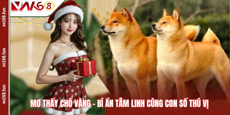 Mơ Thấy Chó Vàng – Bí Ẩn Tâm Linh Cùng Con Số Thú Vị