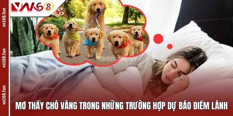 Mơ thấy chó vàng trong những trường hợp dự báo điềm lành