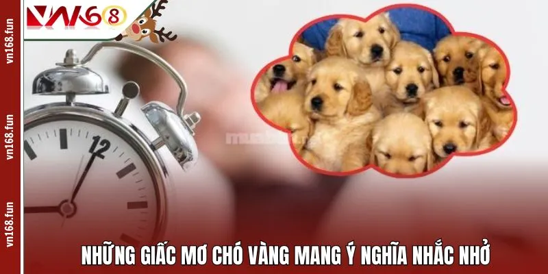 Những giấc mơ chó vàng mang ý nghĩa nhắc nhở