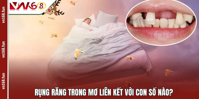 Rụng răng trong mơ liên kết với con số nào?