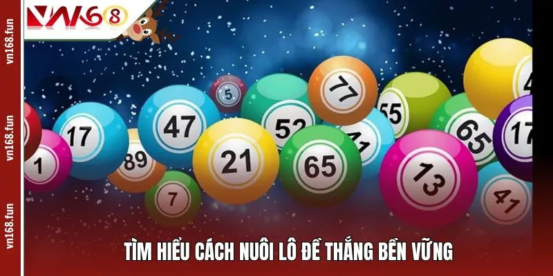 Tìm hiểu cách nuôi lô đề thắng bền vững